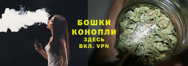 шишки Алзамай