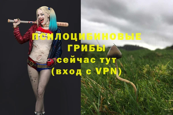 меф Алексин