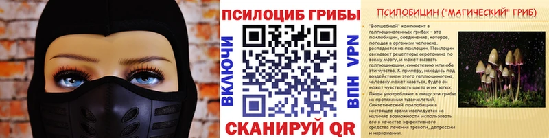 Псилоцибиновые грибы мицелий  даркнет сайт  Апшеронск 